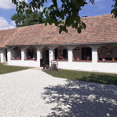 Letunt Idok Vendeghaz Villa Kemenesmihalyfa Luaran gambar